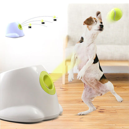 Dog Pet Tennis Launcher – Automatic Fetch Fun by FlashFinds